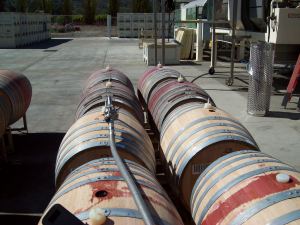 Barrels to fill, spilled a little. (Just between you and me)